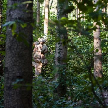 Servizi Ecosistemici ERSAF Lombardia - Corni di Canzo